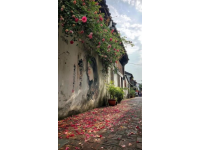 探秘清遠英德：我的旅行日記