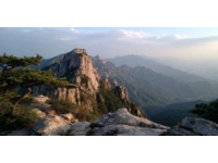 探索滕州蓮青山：國家級4A景區的壯麗自然與悠閑娛樂