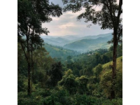 探索西雙版納：6日5夜旅行指南 | 必備出行準備清單