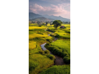 西雙版納3天2夜自由行攻略：首選景點、交通指南、住宿推薦等.