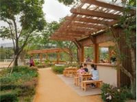 南山荔香公園美食攻略