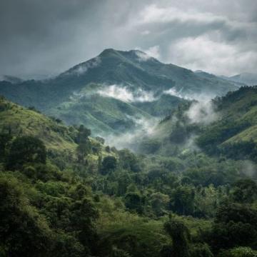 以下是為你規劃的**西雙版納5天4晚**深度游攻略,涵蓋熱帶雨林、傣族文化、美食