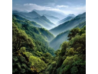 廣西大容山國家森林公園行程攻略，速來！