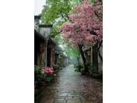 烏鎮旅行攻略一文全搞定