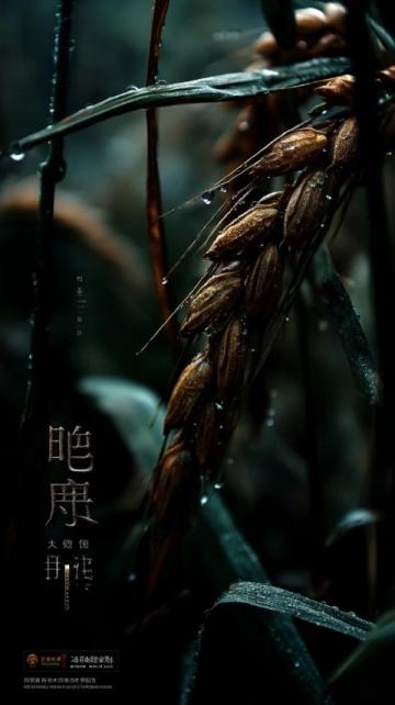 掌握農業諺語：立秋雨水喜，處暑雨憂愁