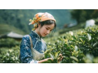 贛州特色產(chǎn)品眾多，涵蓋食品、茶葉、工藝品等各類商品