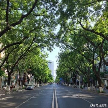 廣州好玩的地方及游玩路線推薦