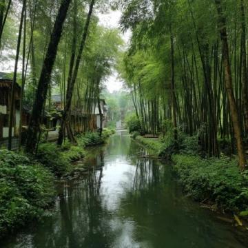 獨(dú)游廣東佛山清暉園，感受嶺南園林之美！