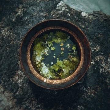 夏日清爽午餐：米粥配小炒，家的味道盡在這一碗