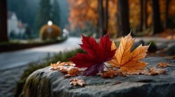 立秋生活小常識立秋儀式感立秋感悟立秋雖是一個秋已立、暑難消的