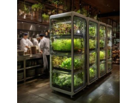 上海盒馬天空農場商場8樓的蔬菜工廠