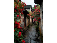 
山東夏日漫步：發現老街新韻，解鎖美好時光之旅