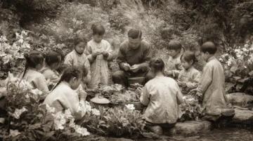 廣東佛山市高明區沙寮村:西江河鮮美食與田園風光之旅
