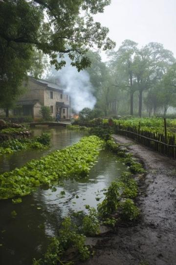 廣東佛山市高明區沙寮村:西江河鮮美食與田園風光之旅