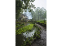 廣東佛山市高明區沙寮村：西江河鮮美食與田園風光之旅