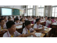 高效記憶：七年級四大學科核心知識要點