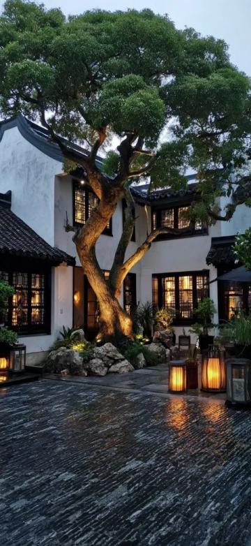 廈門五天四晚團(tuán)隊(duì)游心得分享:花費(fèi)3500元的實(shí)戰(zhàn)攻略