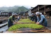 貴州黔東南休閑勝地盤點：民族風情與自然風光一網打盡