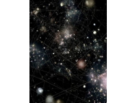 探尋中華古韻：揭秘鶉尾星次的神秘面紗
