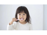 兒童換牙期護理要點：關注時間線與良好習慣養成