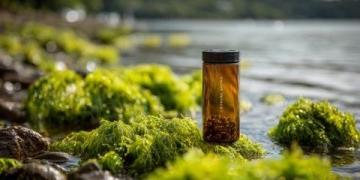 10分鐘簡易養生法：忙碌人士的專屬健康提升術