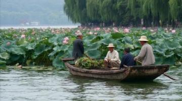 蘇州西山秋游指南:品蟹嘗果、探秘古村與金黃銀杏林