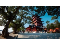 云南地域廣闊，景點豐富，以下為你推薦一條昆明-大理-麗江的三日游攻略