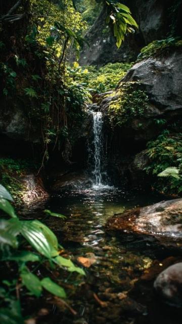 深圳夏日秘境馬巒山:瀑布溪流與自然之美等你探索