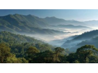 西雙版納冬日旅居佳地：熱帶風光與民族風情的完美融合