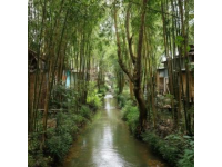 合肥周邊親子自駕游推薦：自然與文化體驗(yàn)兩日行程