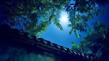 秋夜月色下的李莊古鎮：月亮田景區的華麗變身與美食探索