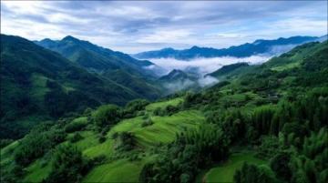 寧鄉市鄉鎮巡禮：老糧倉鎮的歷史、工業與自然風光探秘