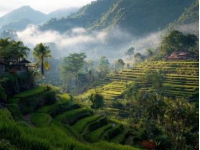 東方明珠巴厘島：印度尼西亞的自然奇跡與文化盛宴