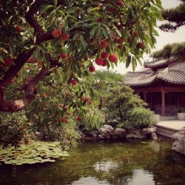 賞園林博物館,吃北京烤鴨,乃暑期一年樂事