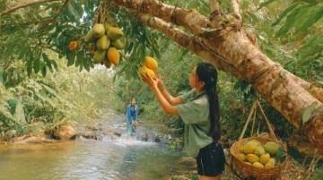 春日美食獵人出動:探尋季節美味與文化交融之旅