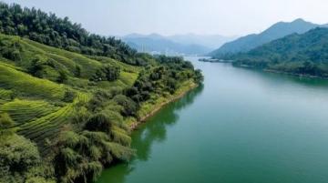 探索西雙版納：融創(chuàng)旅游度假區(qū)的自然與歡樂之旅