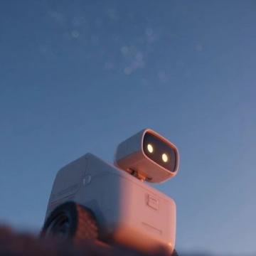 2025早春旅行記:我們的第三日自駕歷險