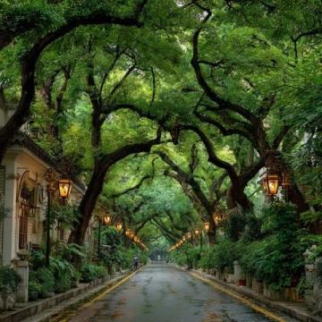 廈門三天游攻略:鼓浪嶼、植物園與環(huán)島路行程規(guī)劃