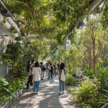 探秘南寧:四季花開的綠肺城市與地道美食風情