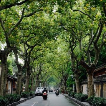 廈門三天游攻略:鼓浪嶼、植物園與環(huán)島路行程規(guī)劃