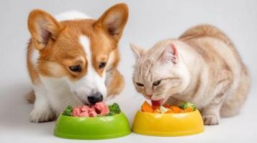 一分錢沒花，一天兩餐都好吃！