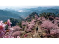 雙廊沙溪大理最美鄉鎮春季踏青路線