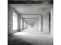 阿聯酋總統的特殊要求