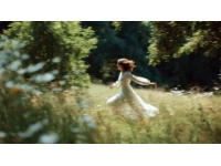 春風里的野趣：探尋大自然賜予的獨特美味與鄉愁記憶