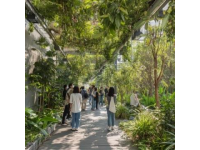 探秘南寧：四季花開的綠肺城市與地道美食風情