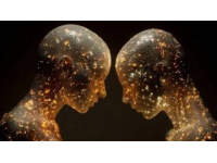 微光與嘆息：人間百態眾生相