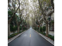 自六年前來長沙定居,有網友曾給我留言說,長沙只有冬夏兩季.