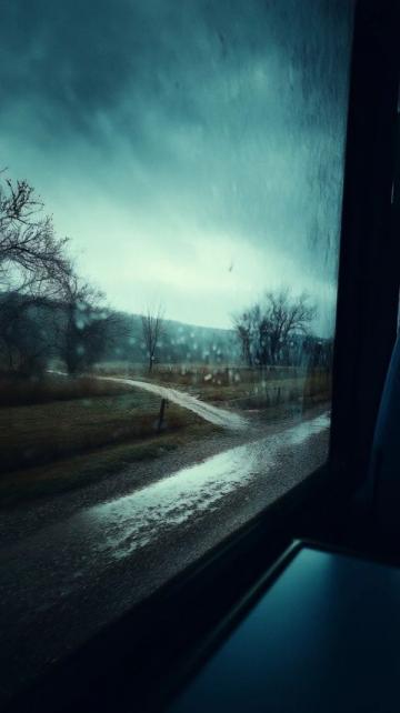 告別東北行:風雨無阻的歸途與未完的心愿