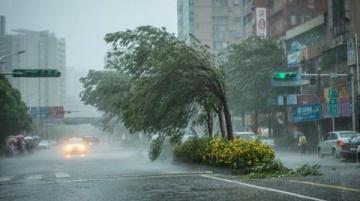 告別東北行:風雨無阻的歸途與未完的心愿