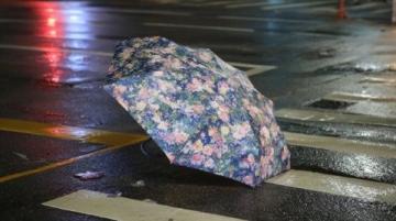 告別東北行:風雨無阻的歸途與未完的心愿